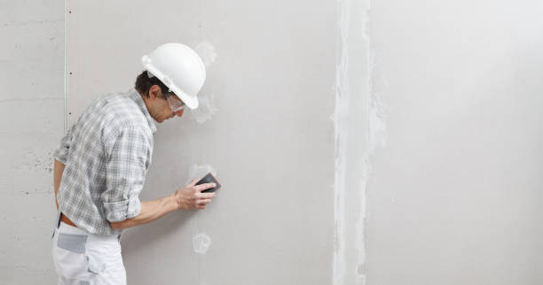 Best Asbestos and Lead Testing During Mold Inspection  in Arthurtown, SC