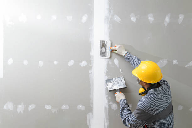 Mold Documentation for Insurance Claims in Arthurtown, SC
