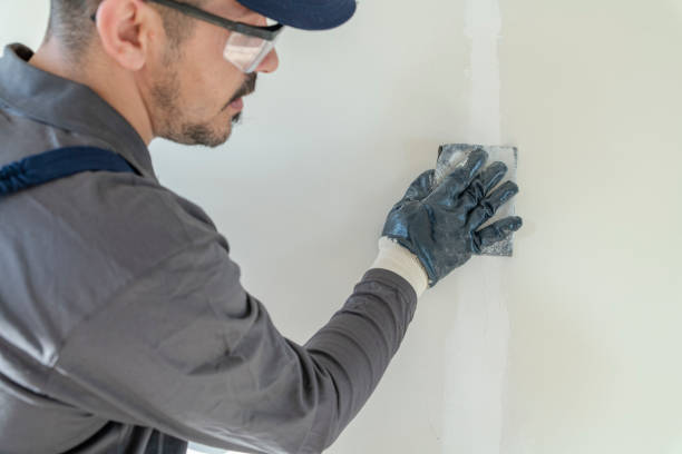 Mold Odor Removal Services in Arthurtown, SC