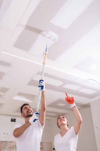 Best Mold Documentation for Insurance Claims  in Arthurtown, SC