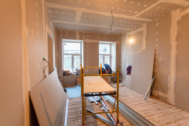 Professional Mold Removal in Arthurtown, SC